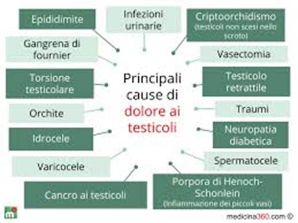 classificazione del dolore testicolare